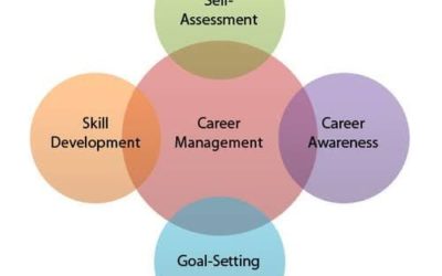 Career Management