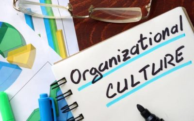 Organizational Culture:Building High Performing Teams